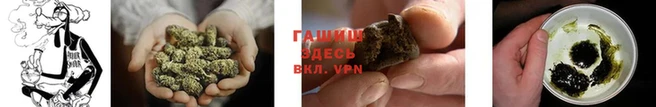 гидропоника Алзамай
