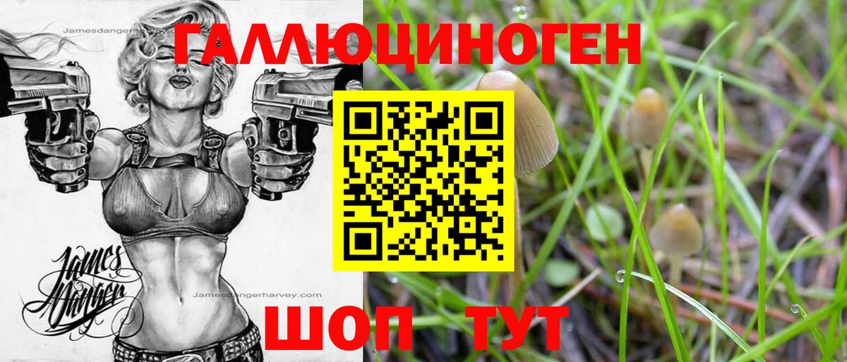 Галлюциногенные грибы Psilocybine cubensis  Вход с VPN  Туймазы 